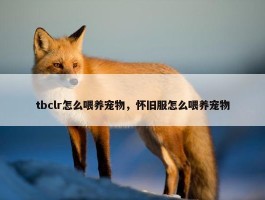 tbclr怎么喂养宠物，怀旧服怎么喂养宠物