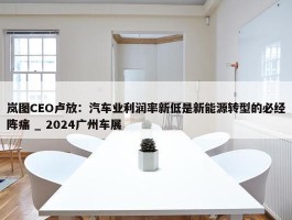 岚图CEO卢放：汽车业利润率新低是新能源转型的必经阵痛 _ 2024广州车展