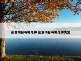 副业项目有哪几种 副业项目有哪几种类型