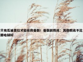 只有瓜迪奥拉才能拯救曼联！曼联前教练：其他教练不比滕哈赫好