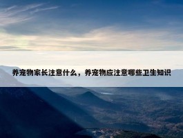 养宠物家长注意什么，养宠物应注意哪些卫生知识