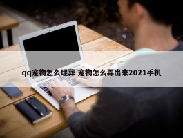 qq宠物怎么埋葬 宠物怎么弄出来2021手机