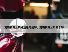 宠物狗养公的好还是母的好，宠物狗养公母哪个好