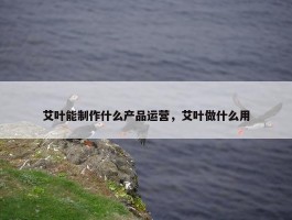 艾叶能制作什么产品运营，艾叶做什么用