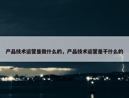 产品技术运营是做什么的，产品技术运营是干什么的