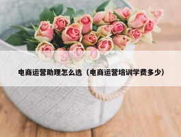 电商运营助理怎么选（电商运营培训学费多少）