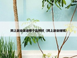 网上副业渠道哪个品牌好（网上副业赚钱）