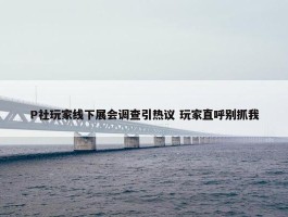 P社玩家线下展会调查引热议 玩家直呼别抓我