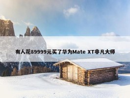 有人花89999元买了华为Mate XT非凡大师