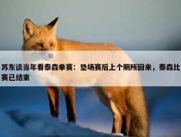 苏东谈当年看泰森拳赛：垫场赛后上个厕所回来，泰森比赛已结束