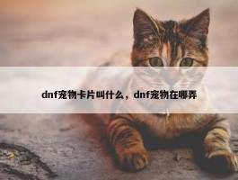 dnf宠物卡片叫什么，dnf宠物在哪弄