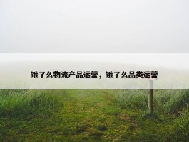 饿了么物流产品运营，饿了么品类运营