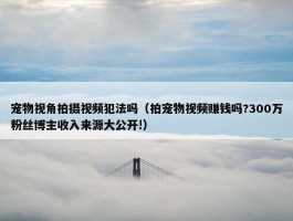 宠物视角拍摄视频犯法吗（拍宠物视频赚钱吗?300万粉丝博主收入来源大公开!）