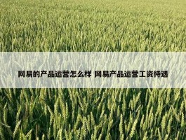 网易的产品运营怎么样 网易产品运营工资待遇