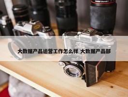 大数据产品运营工作怎么样 大数据产品部