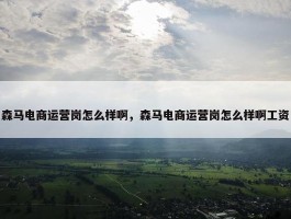 森马电商运营岗怎么样啊，森马电商运营岗怎么样啊工资