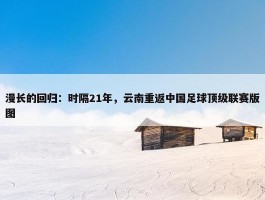 漫长的回归：时隔21年，云南重返中国足球顶级联赛版图