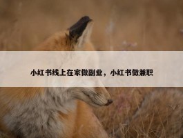 小红书线上在家做副业，小红书做兼职