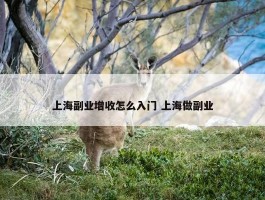 上海副业增收怎么入门 上海做副业