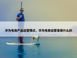 华为电商产品运营模式，华为电商运营是做什么的