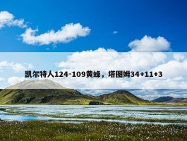 凯尔特人124-109黄蜂，塔图姆34+11+3