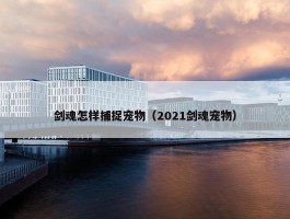 剑魂怎样捕捉宠物（2021剑魂宠物）