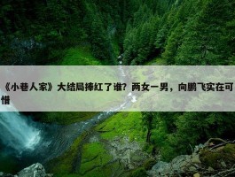 《小巷人家》大结局捧红了谁？两女一男，向鹏飞实在可惜