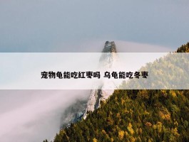 宠物龟能吃红枣吗 乌龟能吃冬枣