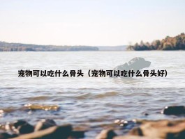 宠物可以吃什么骨头（宠物可以吃什么骨头好）