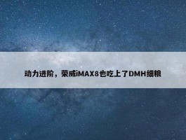 动力进阶，荣威iMAX8也吃上了DMH细粮