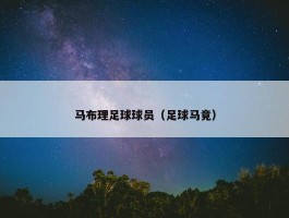 马布理足球球员（足球马竟）