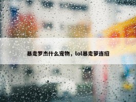 暴走罗杰什么宠物，lol暴走萝连招