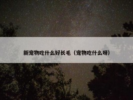 新宠物吃什么好长毛（宠物吃什么呀）