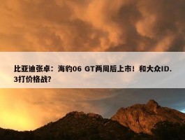 比亚迪张卓：海豹06 GT两周后上市！和大众ID.3打价格战？