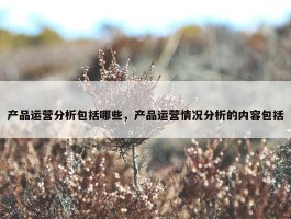 产品运营分析包括哪些，产品运营情况分析的内容包括