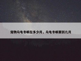 宠物乌龟冬眠在多少月，乌龟冬眠要到几月