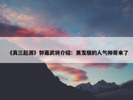 《真三起源》郭嘉武将介绍：黑发版的人气帅哥来了