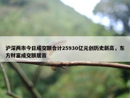 沪深两市今日成交额合计25930亿元创历史新高，东方财富成交额居首