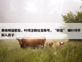 黄晓明道歉后，叶珂注销社交账号，“妖怪” 曝叶珂怀别人孩子