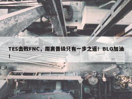 TES击败FNC，距离晋级只有一步之遥！BLG加油！