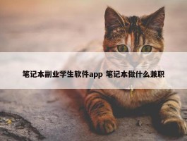 笔记本副业学生软件app 笔记本做什么兼职