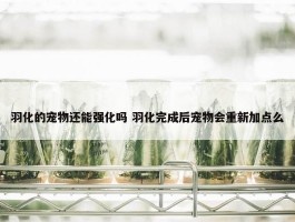 羽化的宠物还能强化吗 羽化完成后宠物会重新加点么