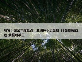 收官！国足年度盘点：亚洲杯小组出局 18强赛6战2胜 武磊射手王