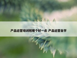 产品运营培训班哪个好一点 产品运营自学