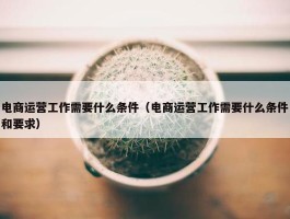 电商运营工作需要什么条件（电商运营工作需要什么条件和要求）