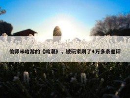 偷师米哈游的《鸣潮》，被玩家刷了4万多条差评