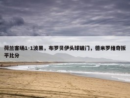 荷兰客场1-1波黑，布罗贝伊头球破门，德米罗维奇扳平比分