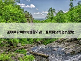 互联网公司如何运营产品，互联网公司怎么营销