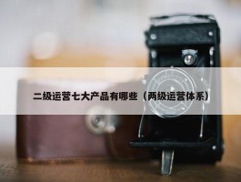 二级运营七大产品有哪些（两级运营体系）