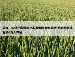 英媒：埃格巴利倾向15亿镑翻修斯坦福桥 伯利想新建容纳6万人球场